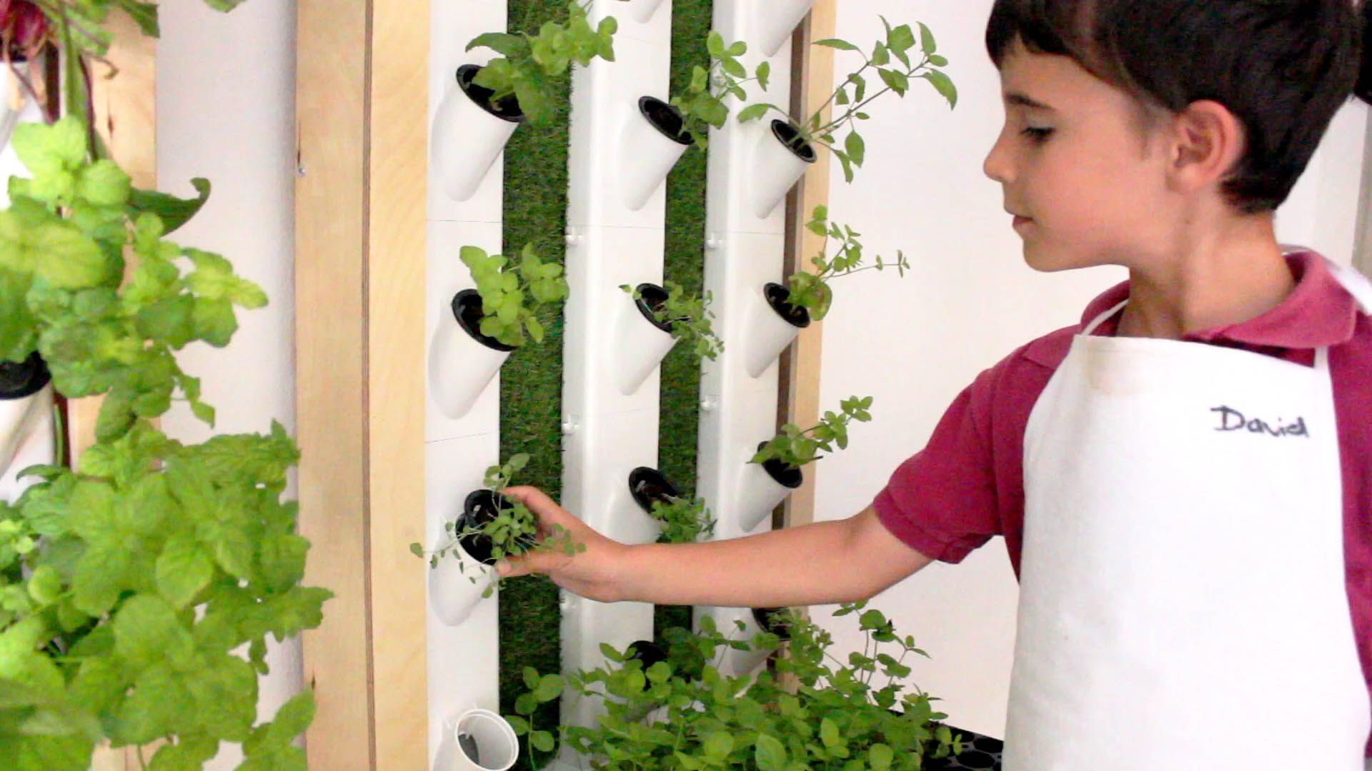 Fondo de pantalla de  1920x1080