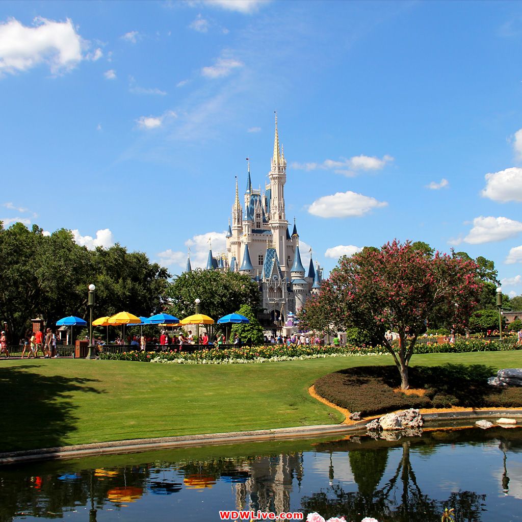 Fondo de pantalla de  1024x1024