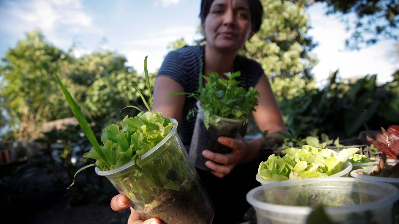 Fondo de pantalla de  1600x900