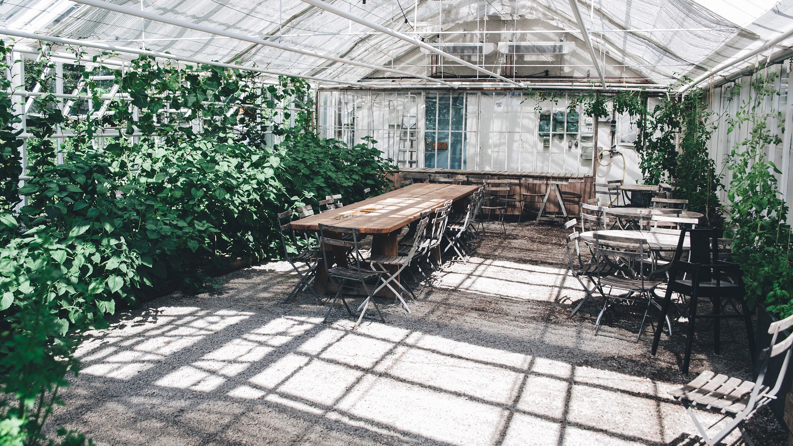 Fondo de pantalla de  2560x1440