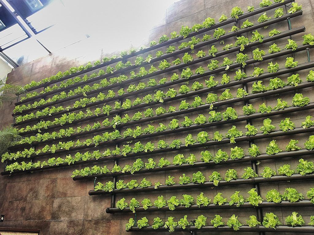 Fondo de pantalla de  1024x768