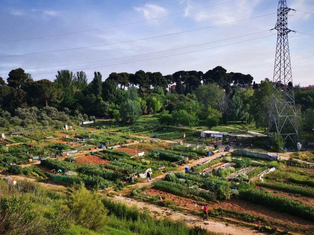 Fondo de pantalla de  1024x768