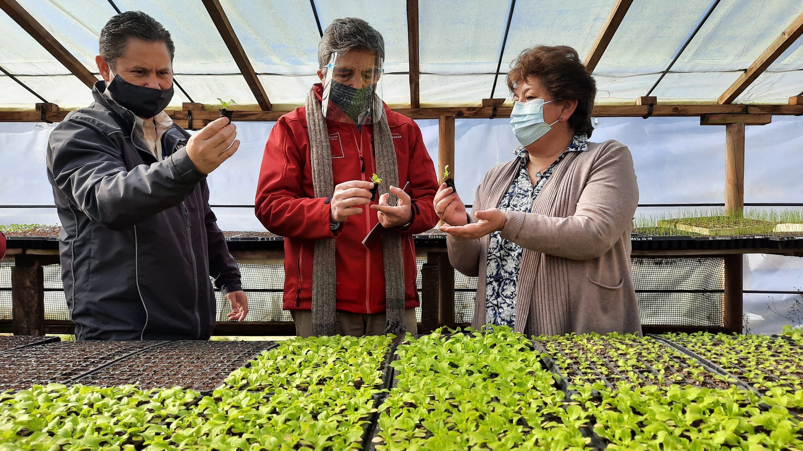 Fondo de pantalla de  2560x1440