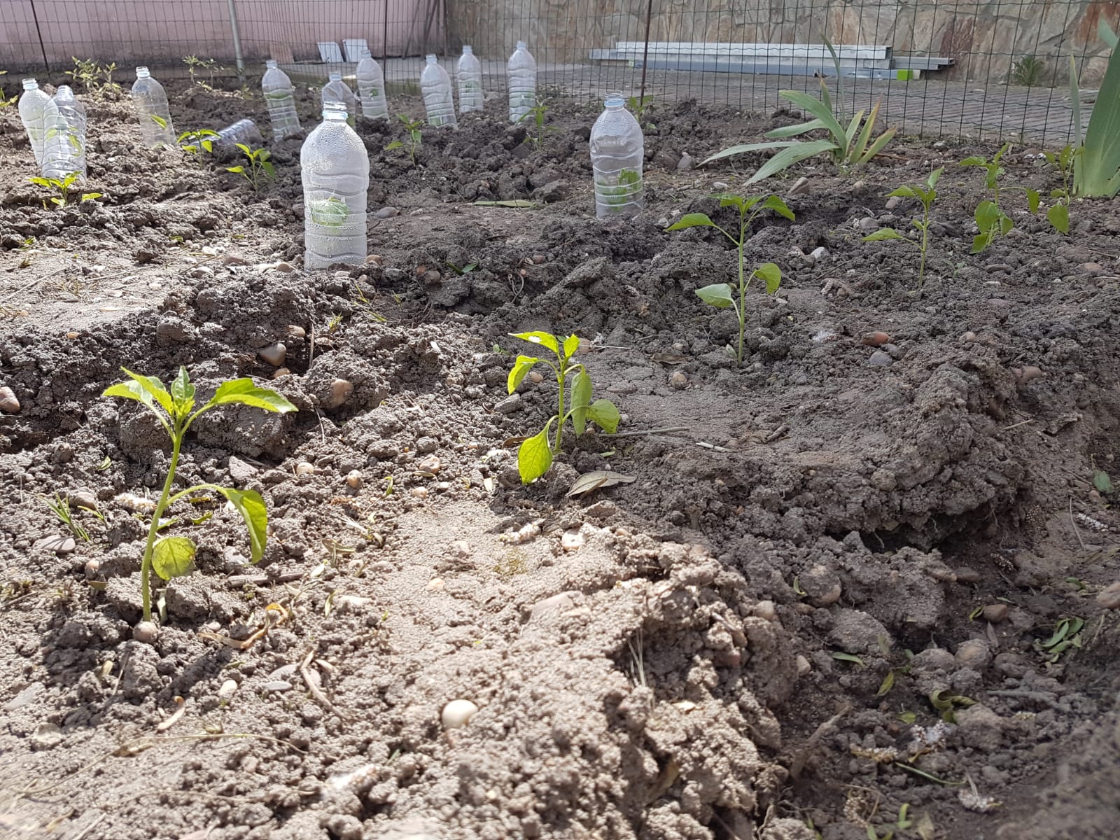 Fondo de pantalla de  1600x1200