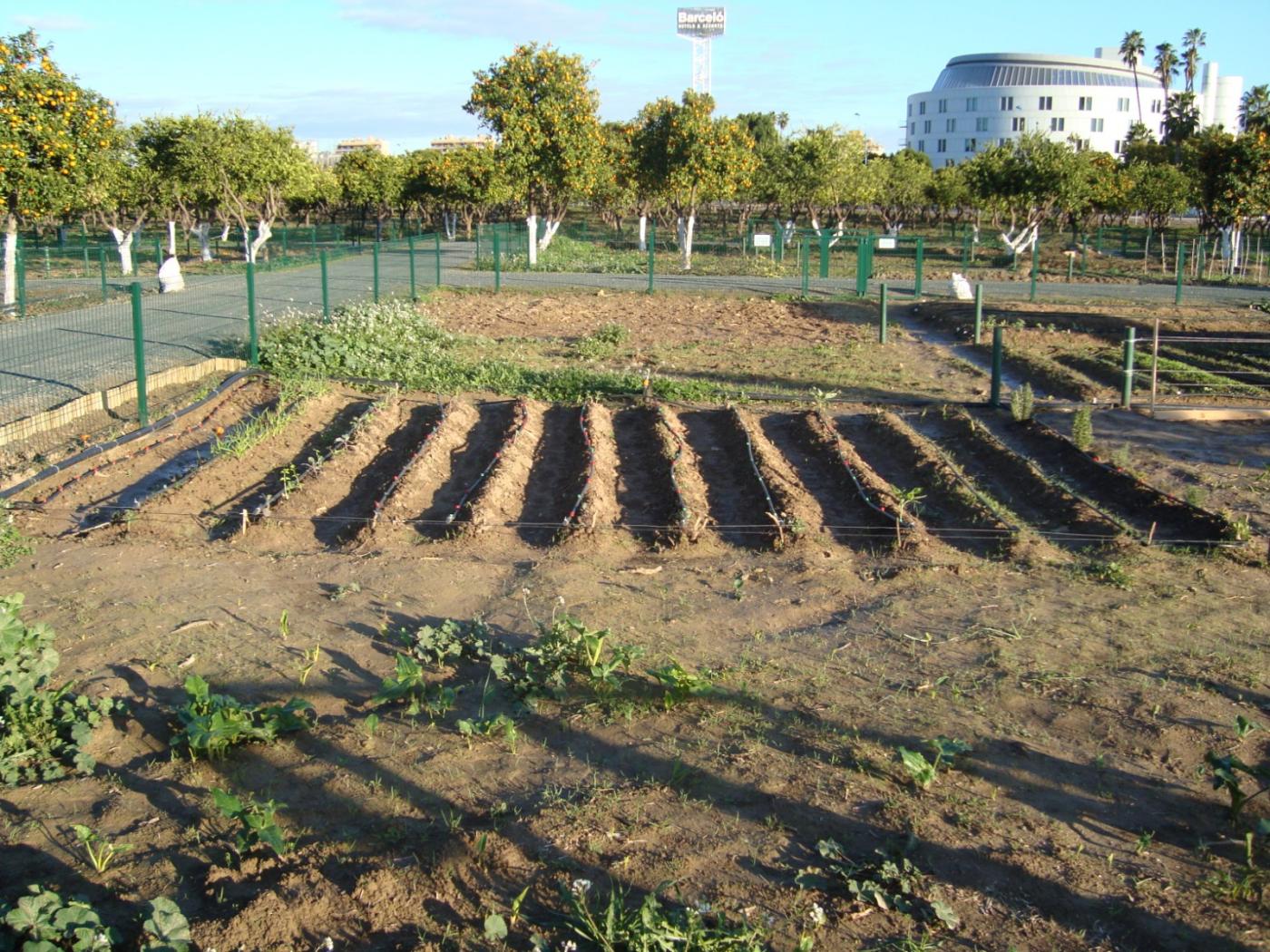 Fondo de pantalla de  1400x1050