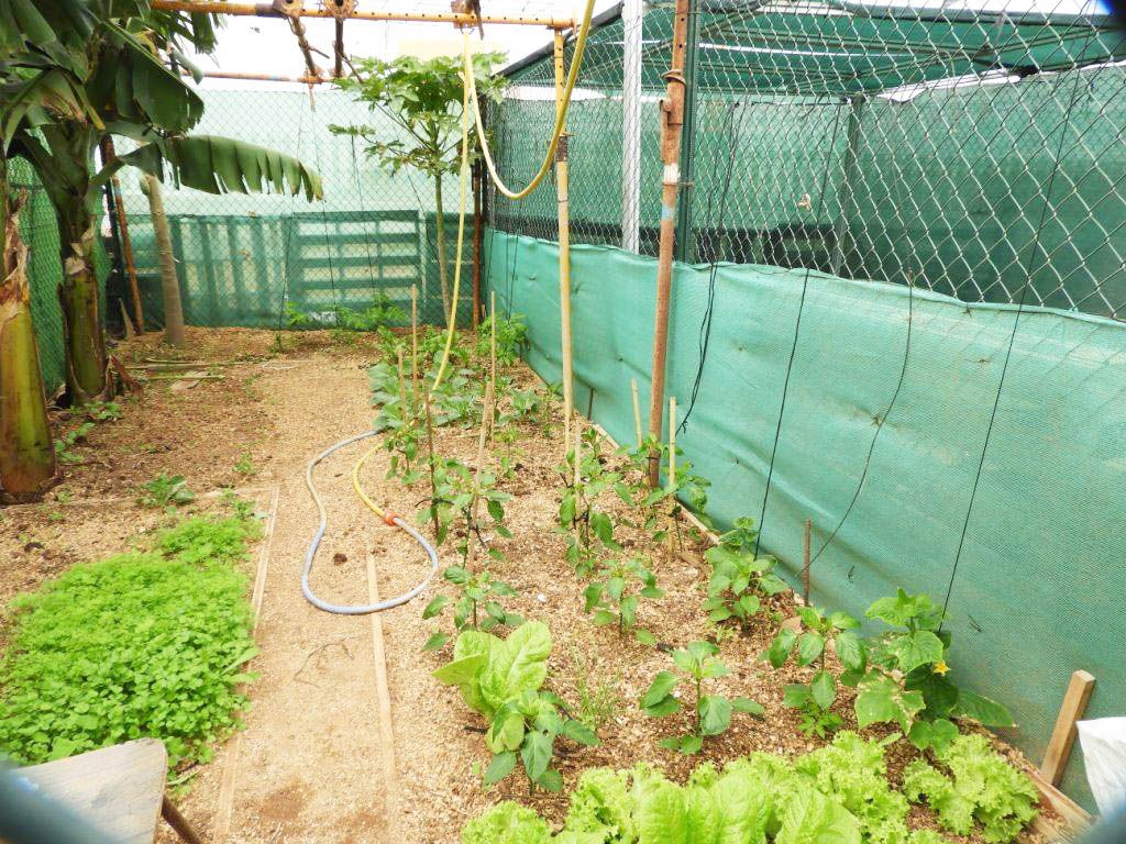 Fondo de pantalla de  1024x768