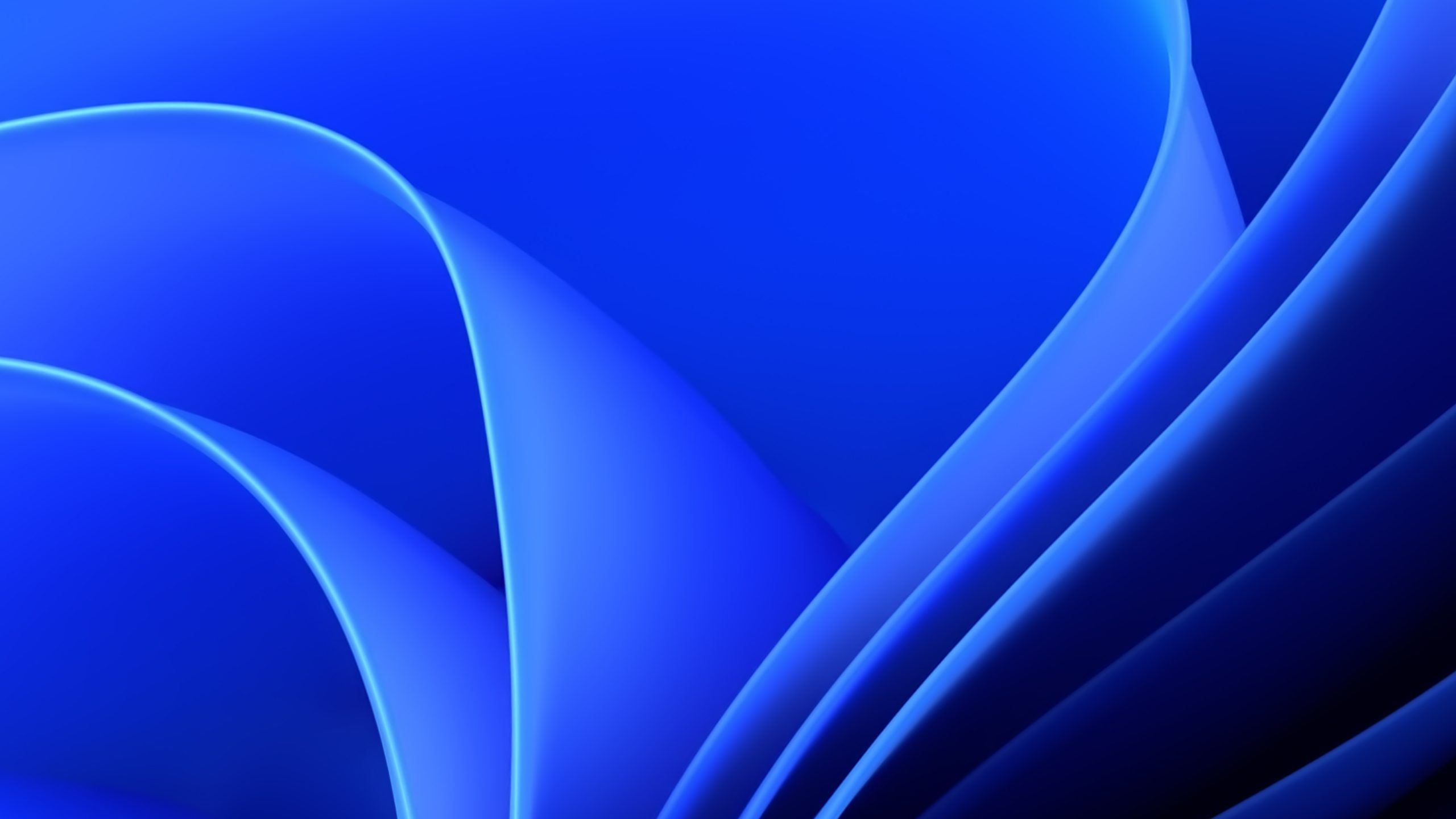 Fondo de pantalla de  2560x1440