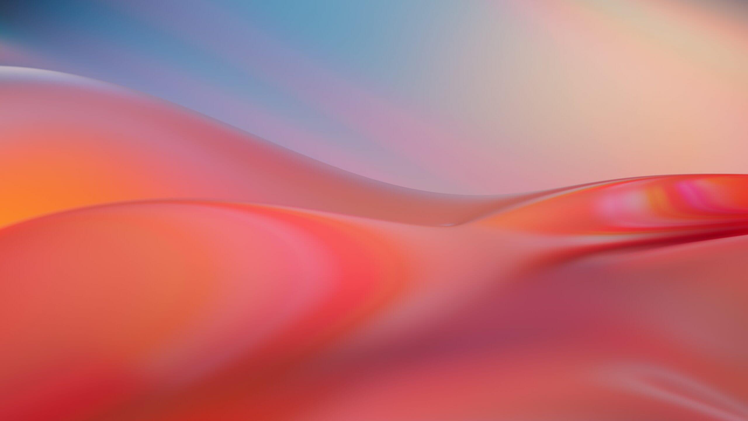 Fondo de pantalla de  2560x1440