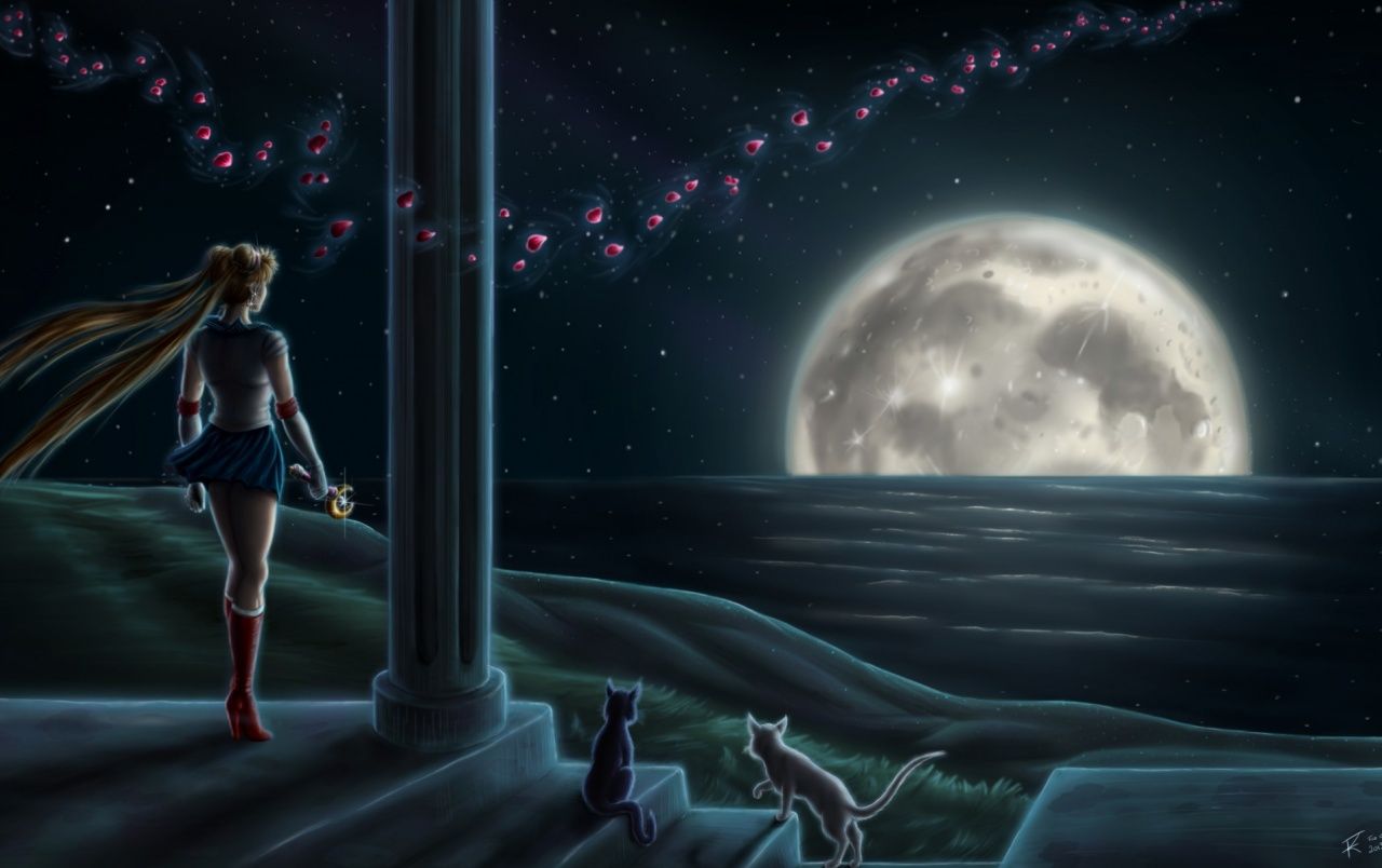 Sailor Moon 14 fondos de pantalla | Sailor Moon 14 fotos gratis