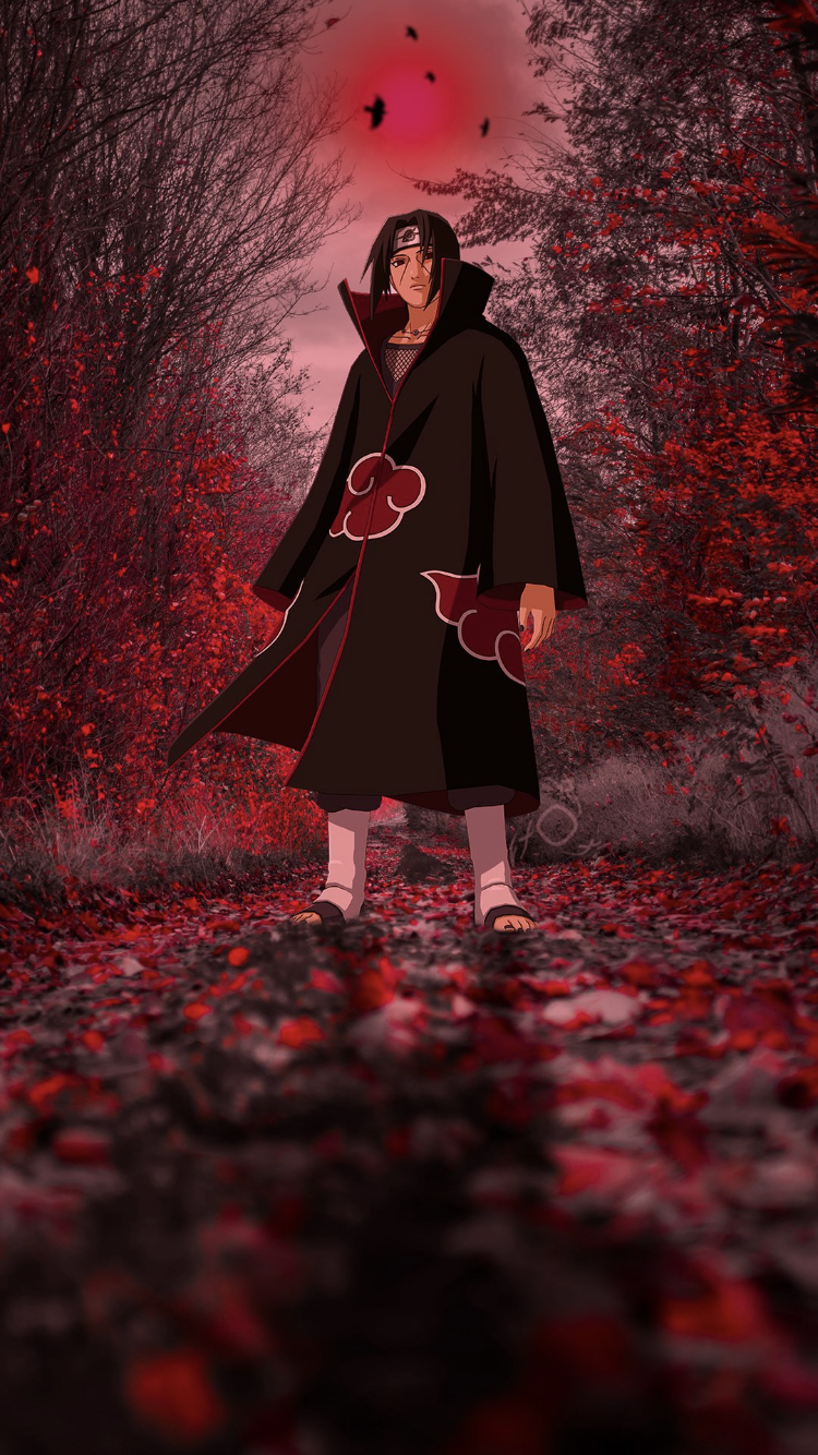 Fondo de pantalla de  750x1334