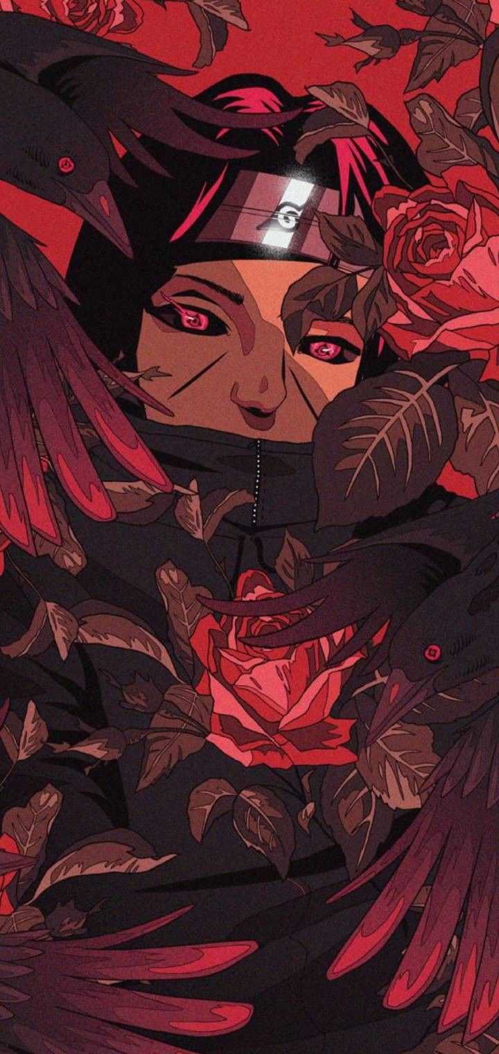 Fondo de pantalla de  720x1520