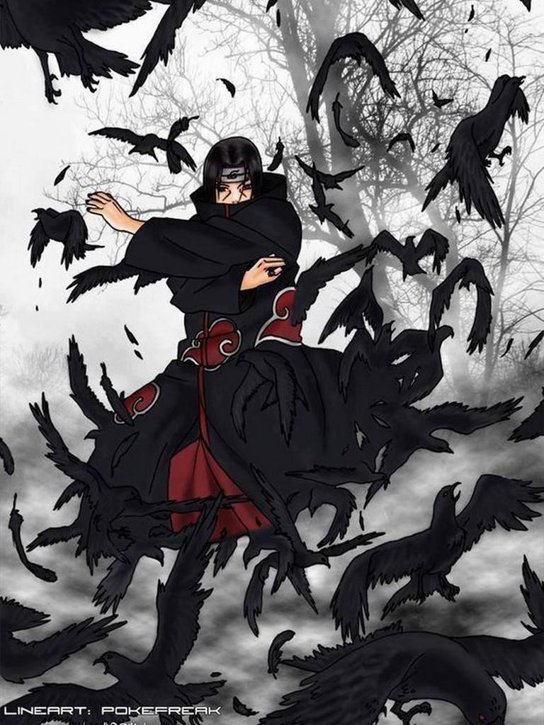 Fondo de pantalla de  768x1024