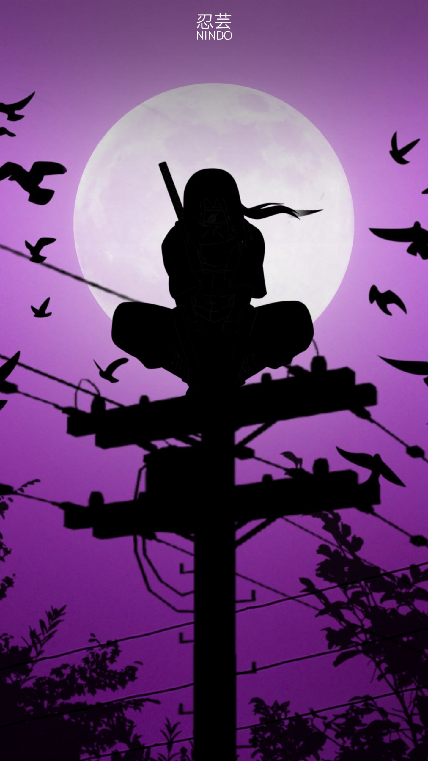 Fondo de pantalla de  1440x2560