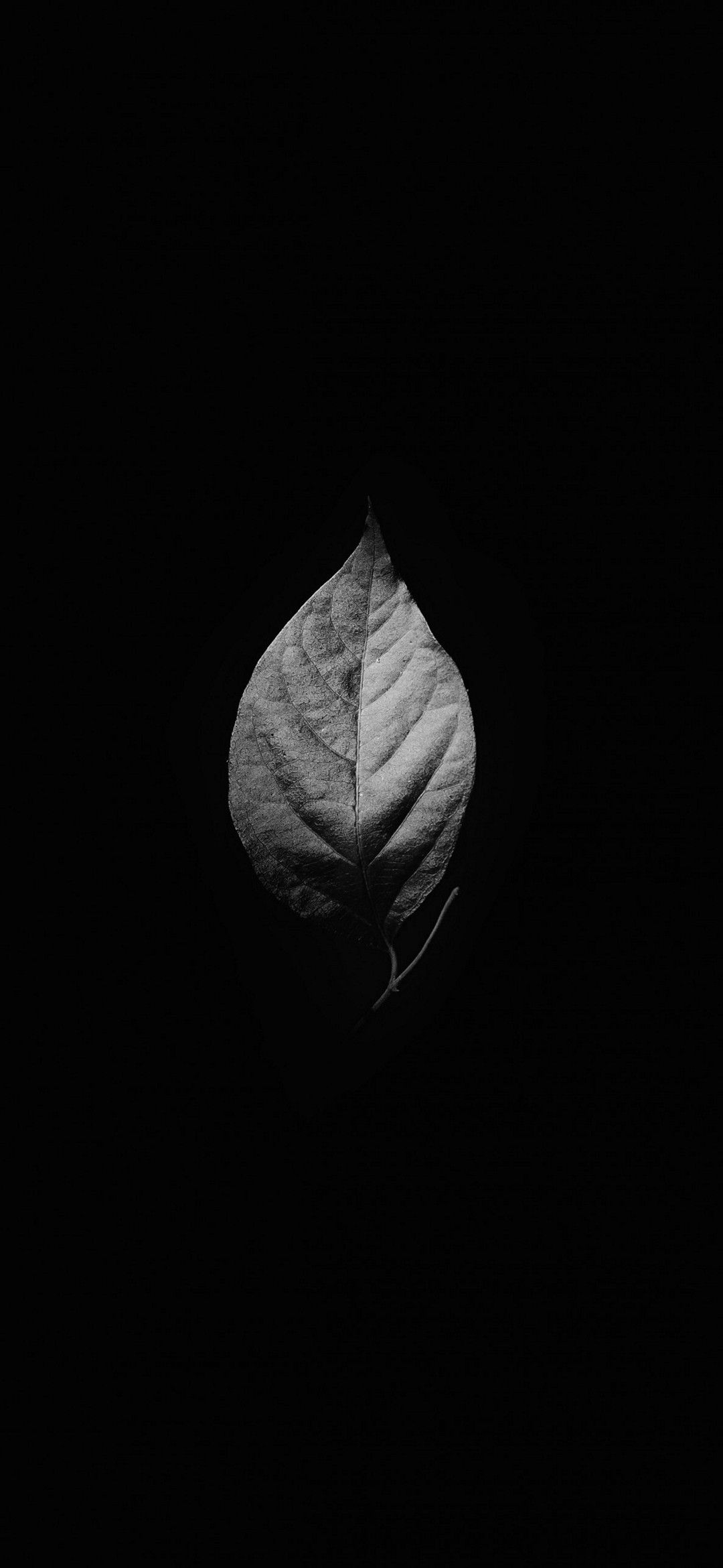 Fondo de pantalla de  1080x2340