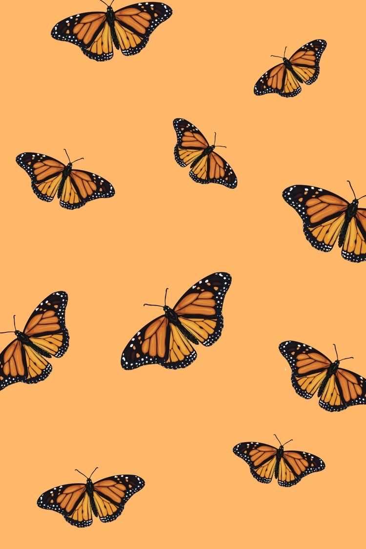 Fondo de pantalla de  750x1125
