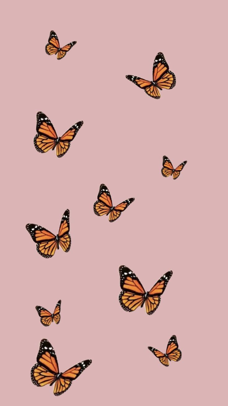 Fondo de pantalla de  736x1308