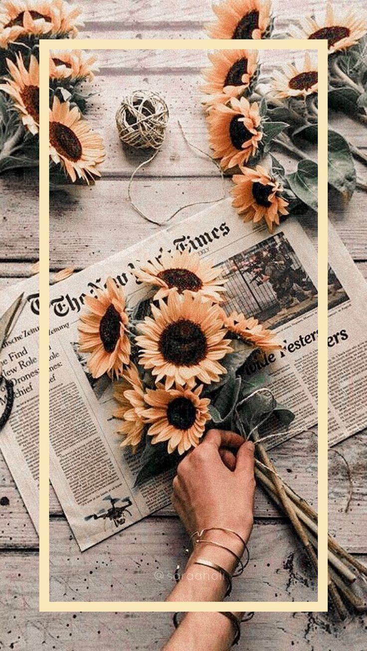 Fondo de pantalla de  736x1303