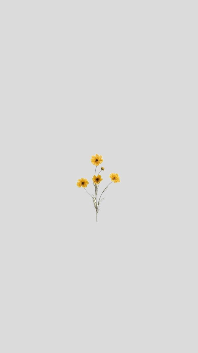 Fondo de pantalla de  675x1200