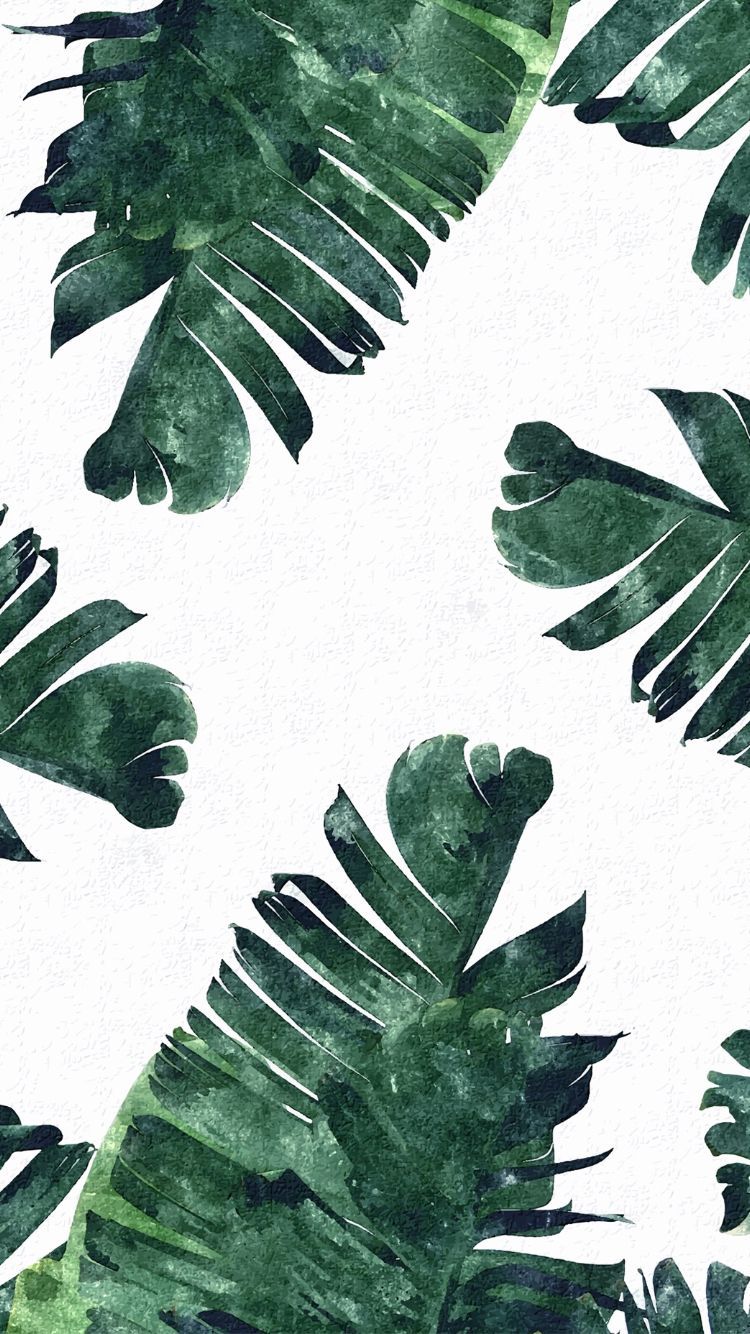 Hojas tropicales fondo de pantalla para iPhone… | Tropical | Iphon