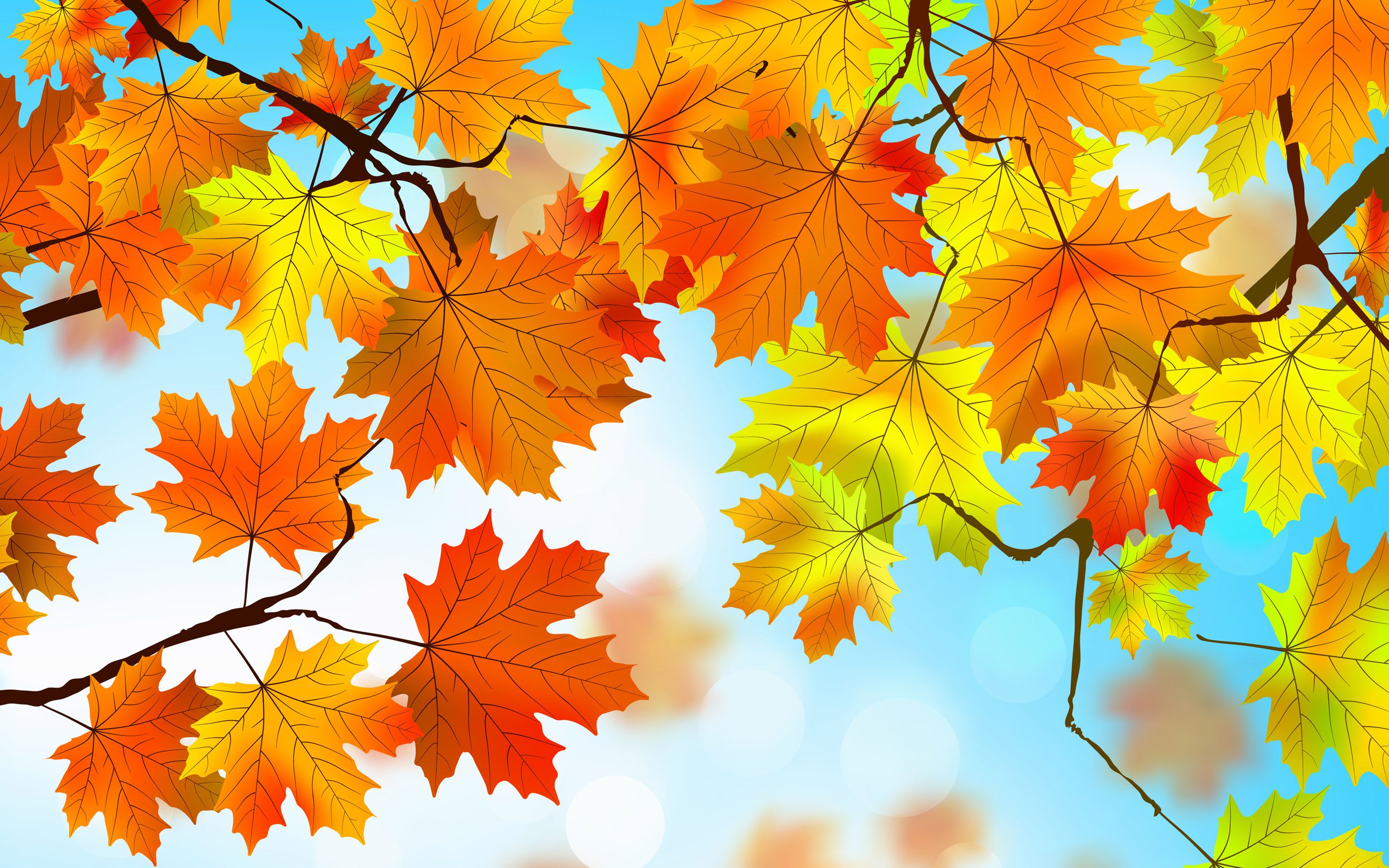 1440x900 Hojas de otoño HD 1440x900 Resolución HD 4k Wallpapers
