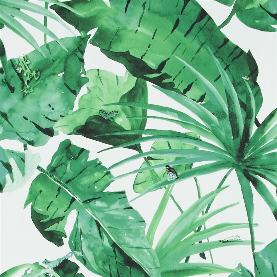Fondo de pantalla de hojas verdes y blancas tropicales naturales (# 481846) - HD
