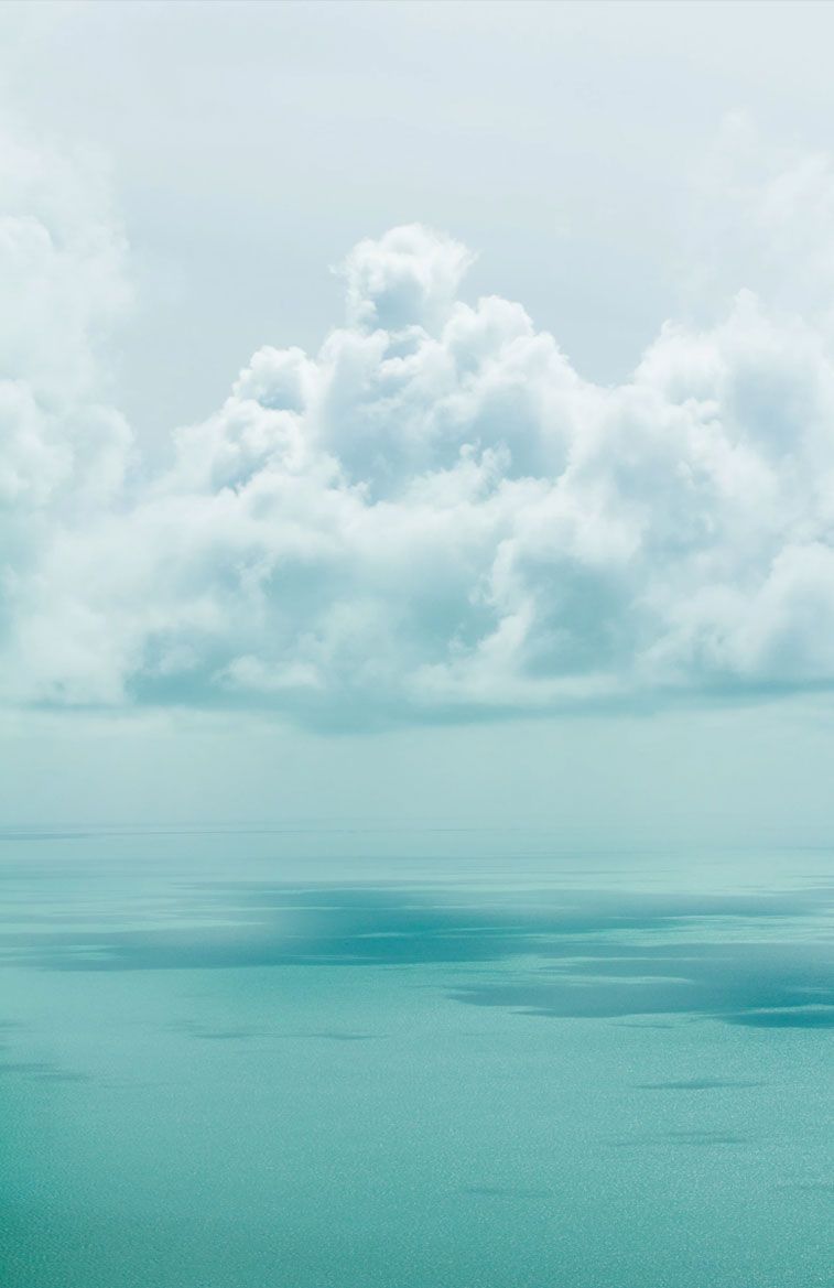 Fondo de pantalla del  757x1169