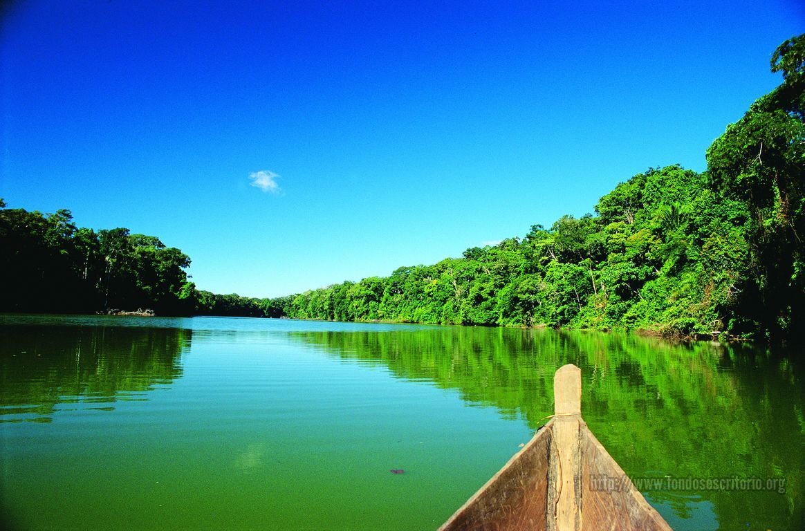 Fondo de pantalla del  1164x768