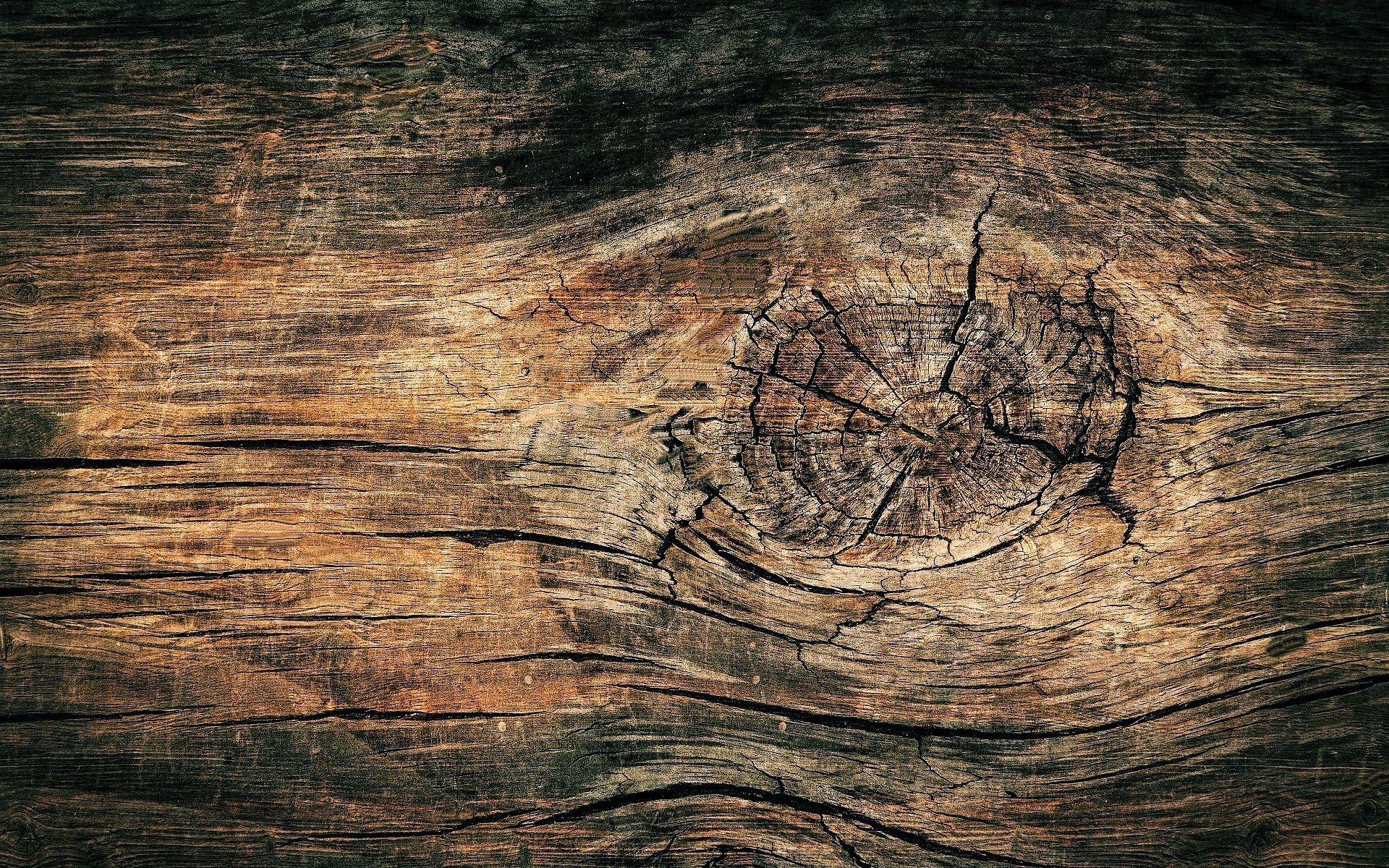Fondo de pantalla de  1920x1200