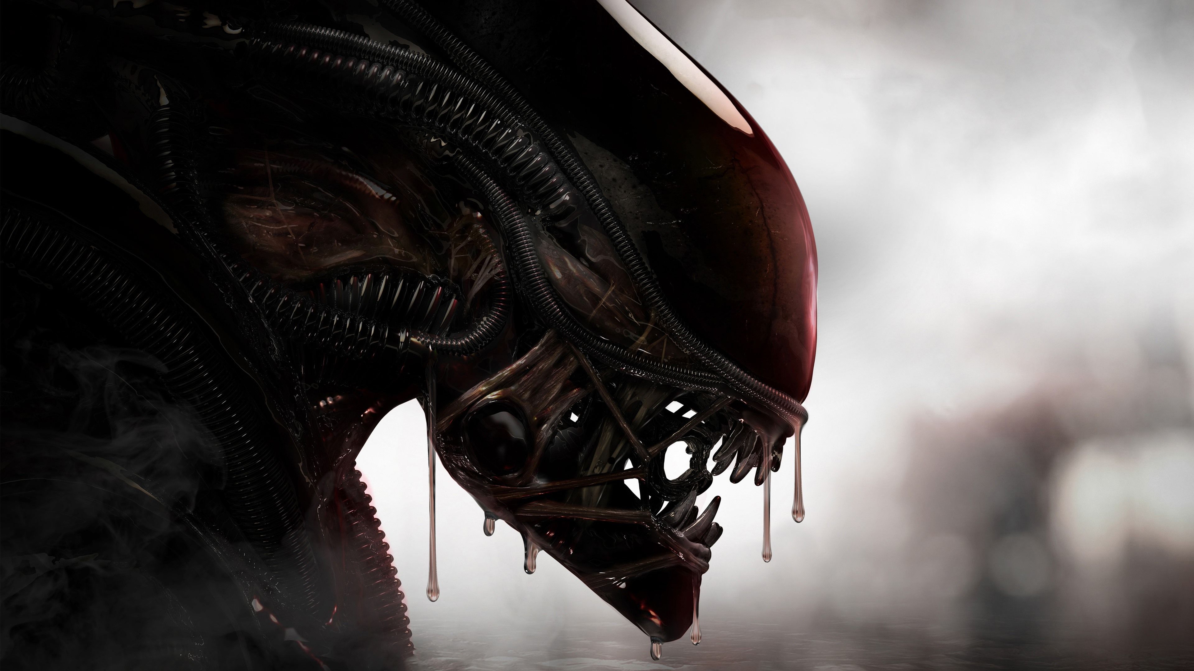 Fondo de pantalla de  3840x2160