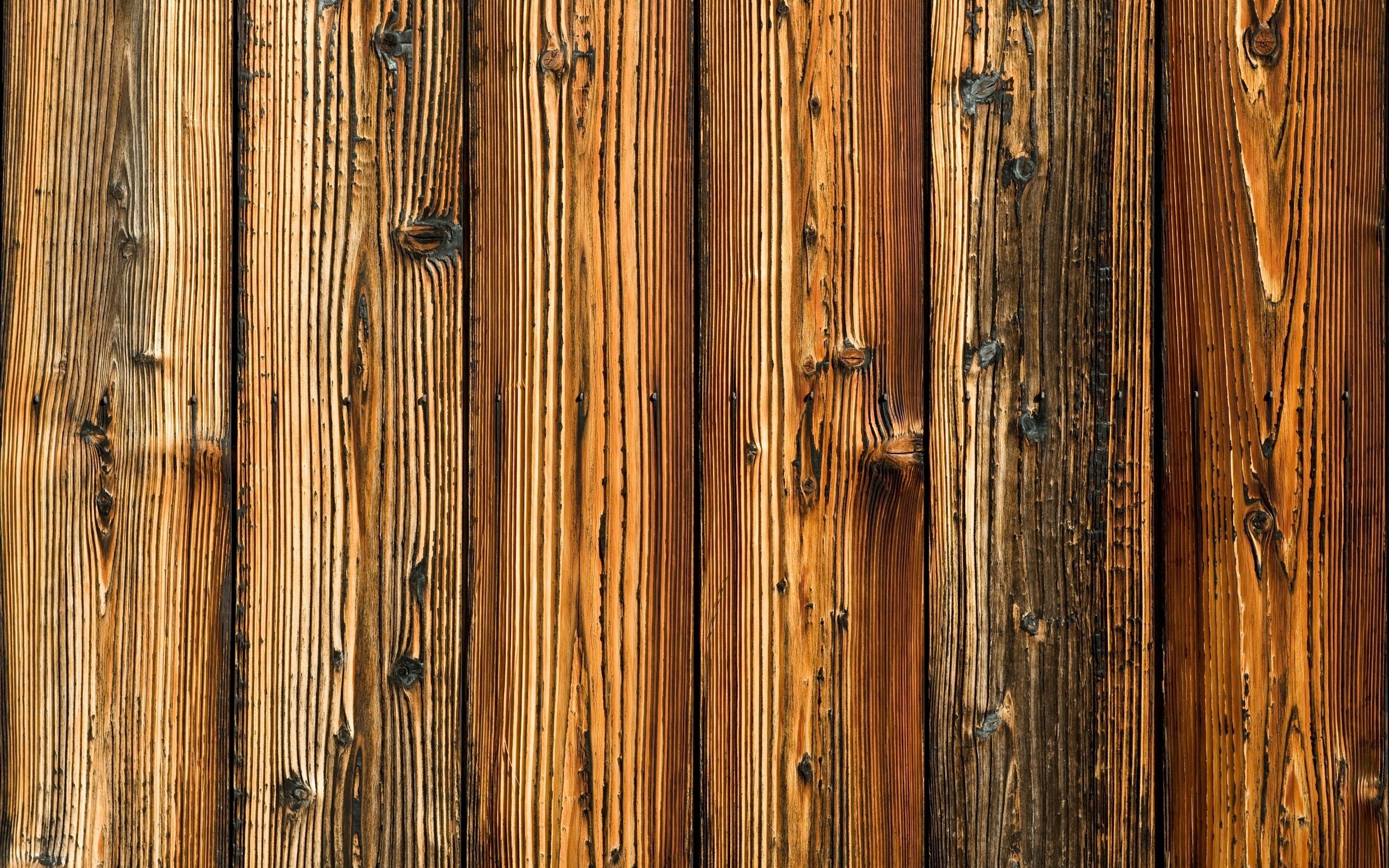 Fondo de pantalla de  2560x1600