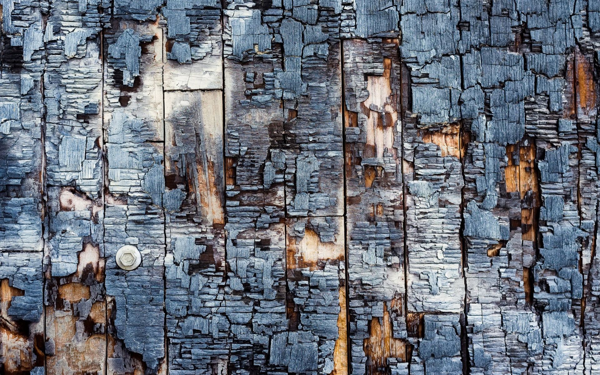 Fondo de pantalla de  1920x1200