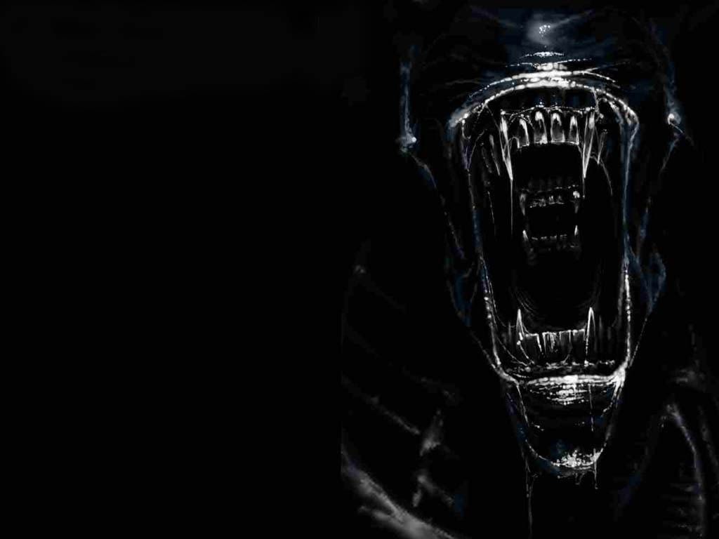 Fondo de pantalla de  1024x768
