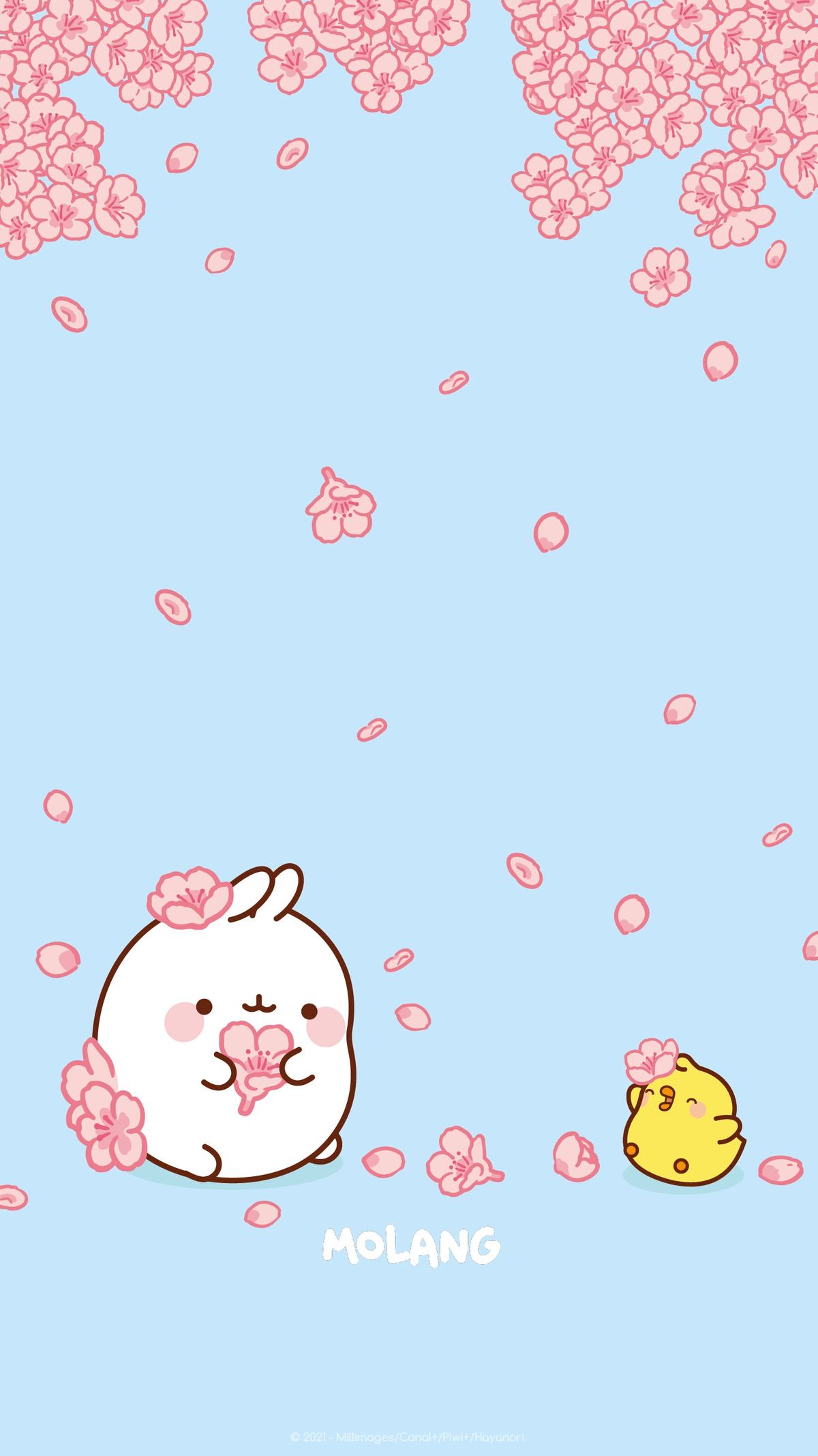 Fondo de pantalla de  1200x2134