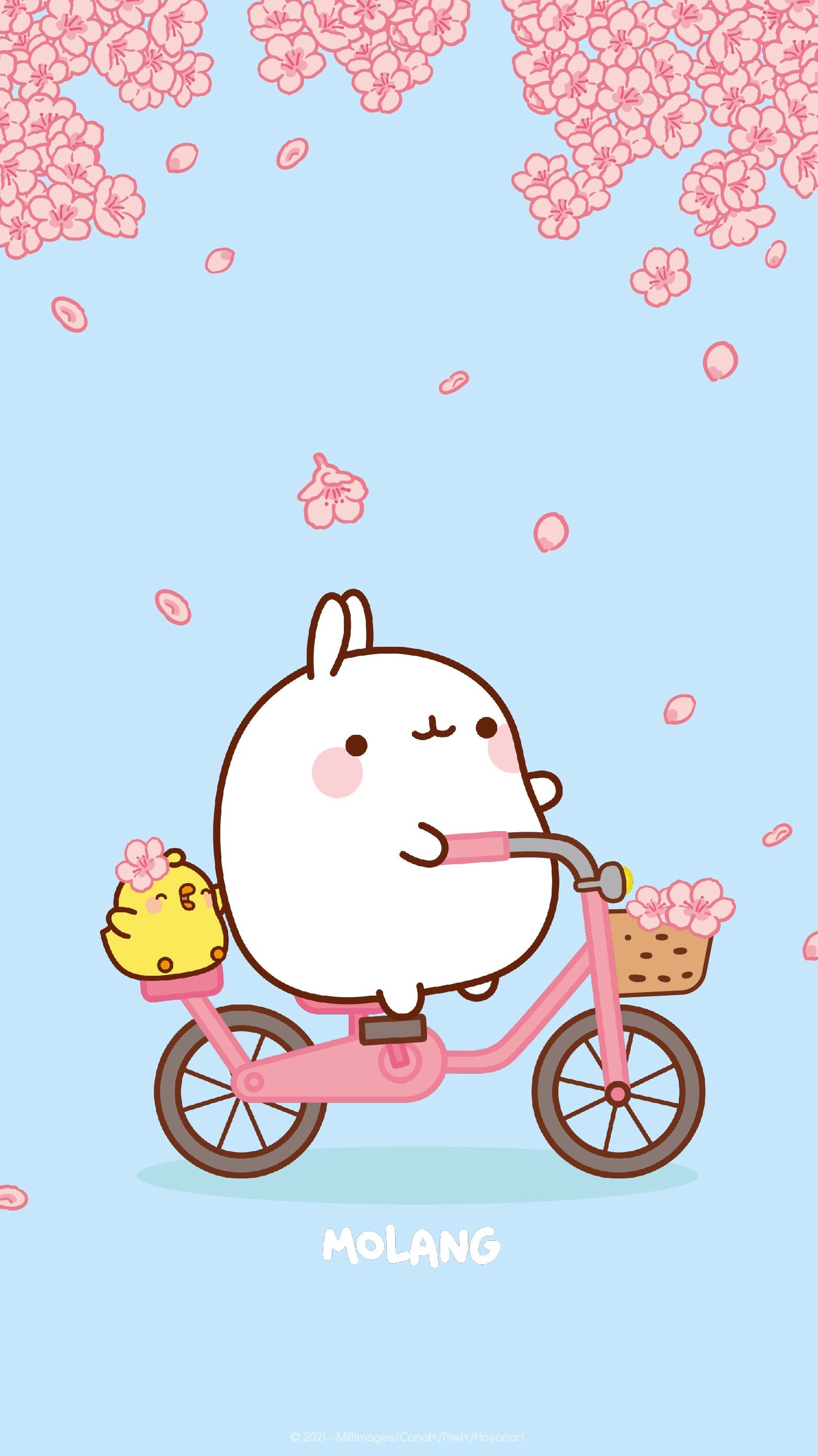 Fondo de pantalla de  1563x2780