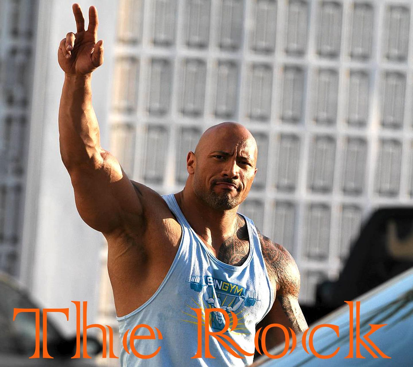 WWE The Rock Dwayne Johnson Fondos de pantalla HD Fondos de pantalla HD | gavy