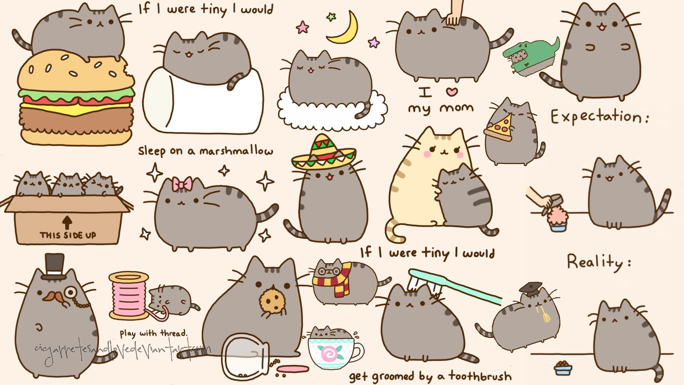 49+] Pusheen Cat Fondos de Escritorio
