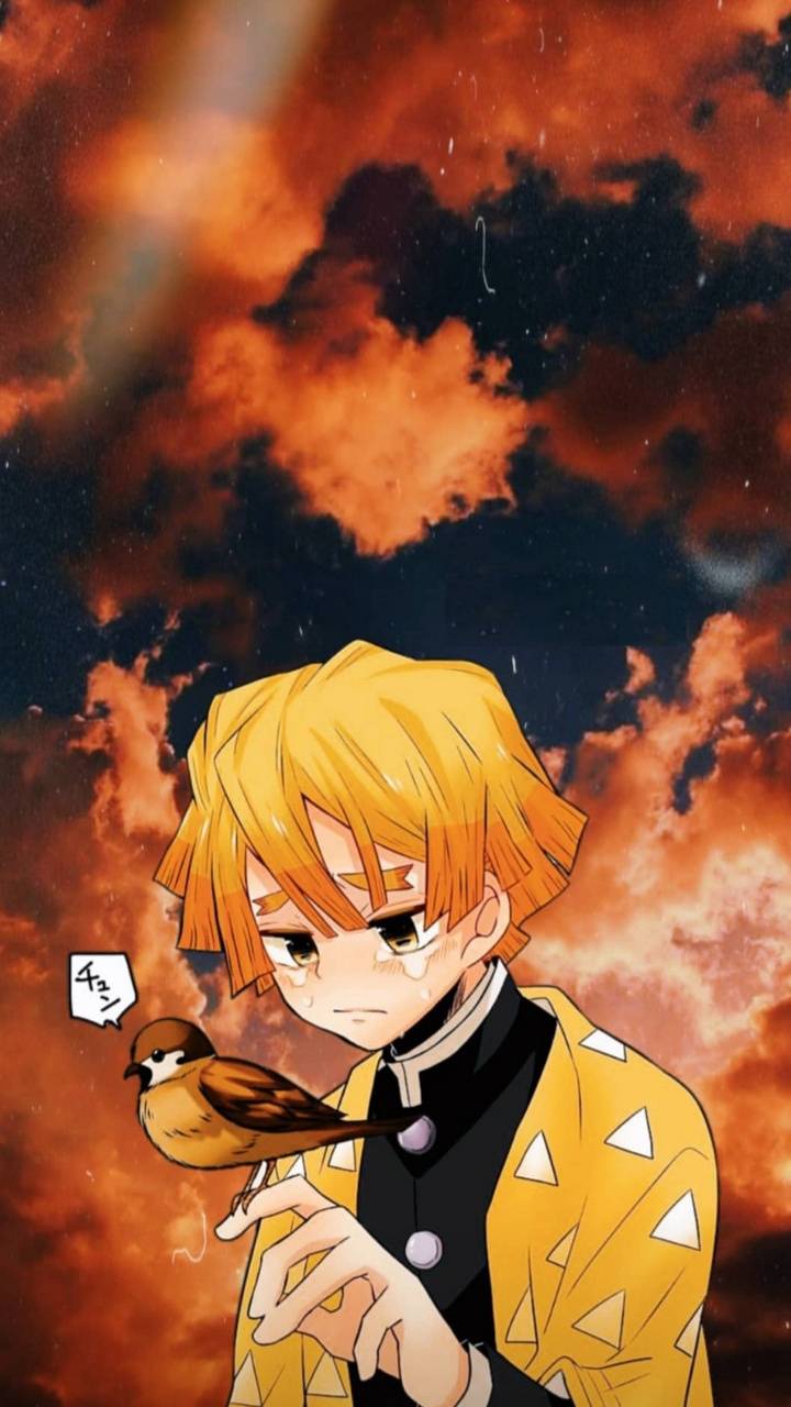 Fondo de pantalla de  720x1280