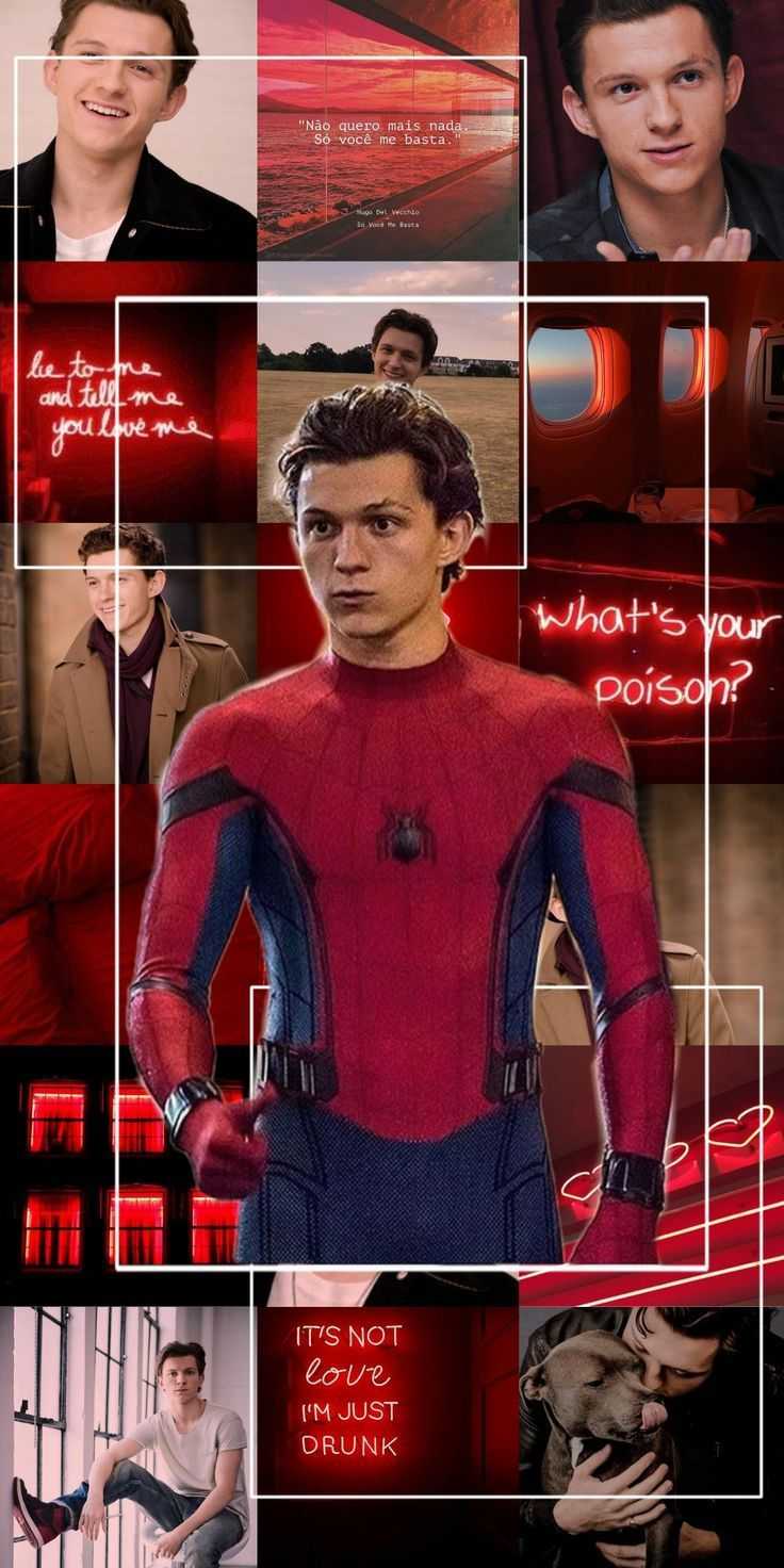 Fondo de pantalla de  736x1472