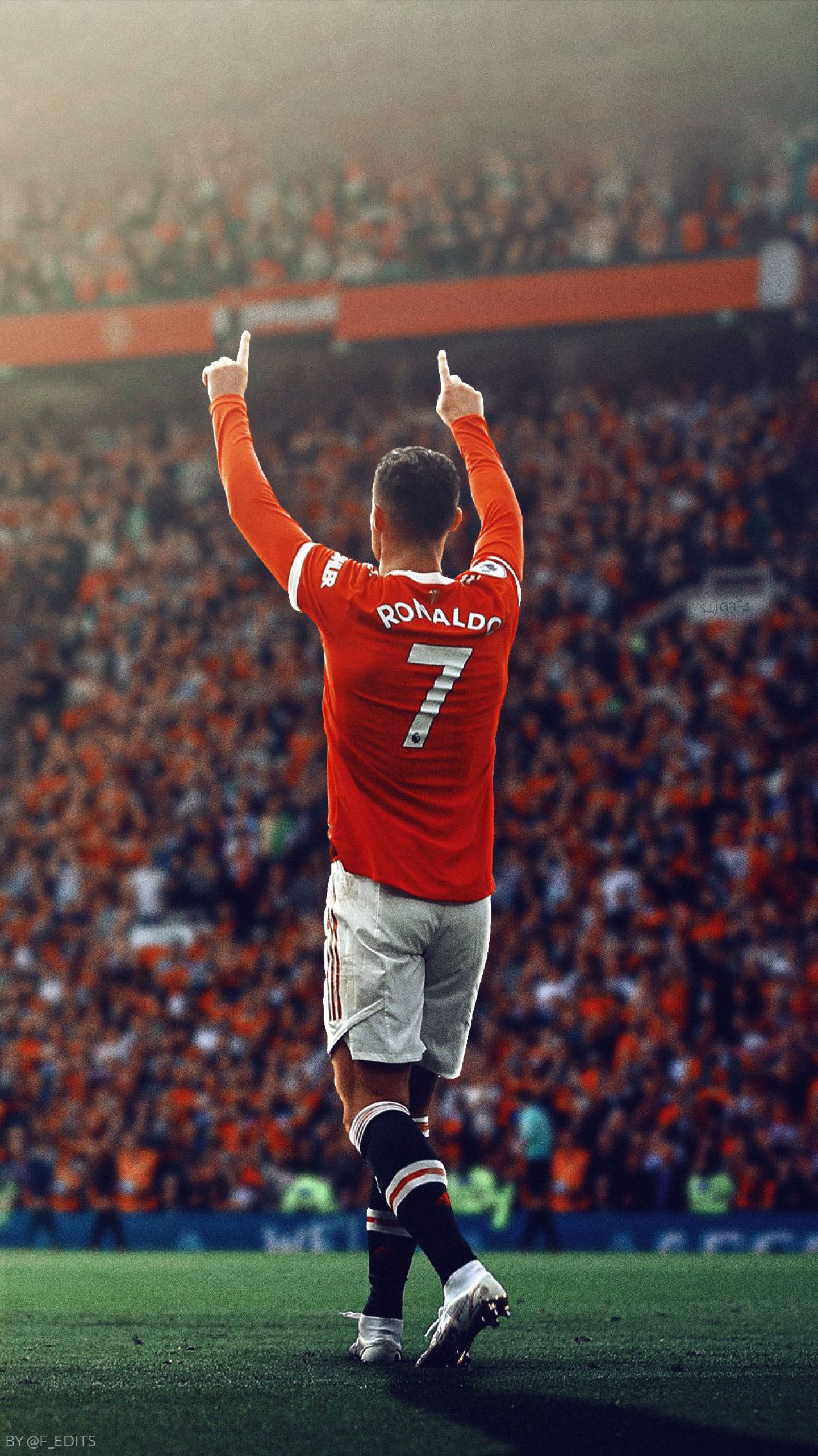 Fondo de pantalla del  1440x2560