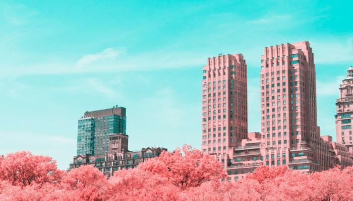 Central Park Wallpaper