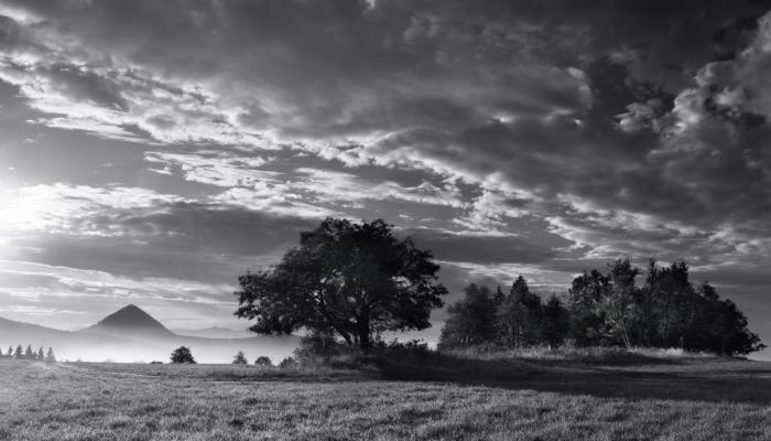 paisajes grises Wallpaper