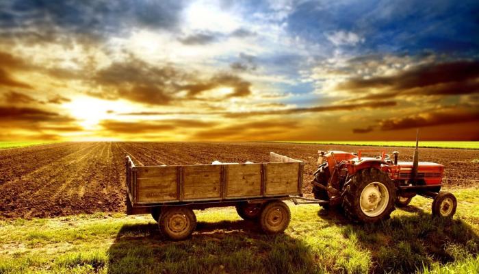 tierra cultivo Wallpaper