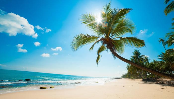 playas del caribe Wallpaper
