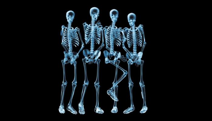 esqueletos Wallpaper